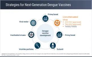 Controlling Dengue