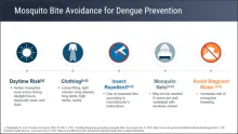 Dengue: Vaccinating Travelers to Endemic Regions